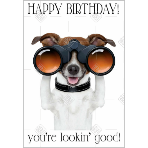 Happy Birthday dog topper - portrait